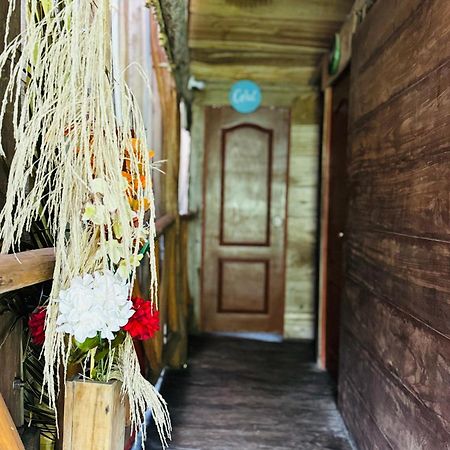Palmario Hostal Guachaca Buitenkant foto
