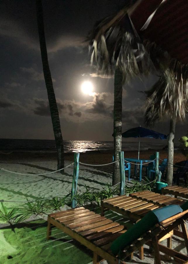 Palmario Hostal Guachaca Buitenkant foto