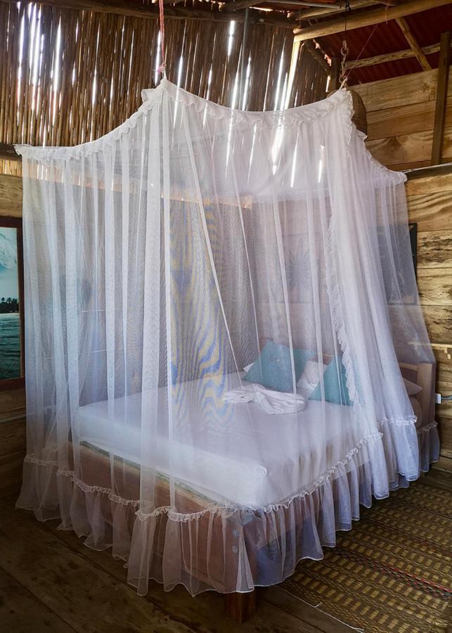 Palmario Hostal Guachaca Buitenkant foto