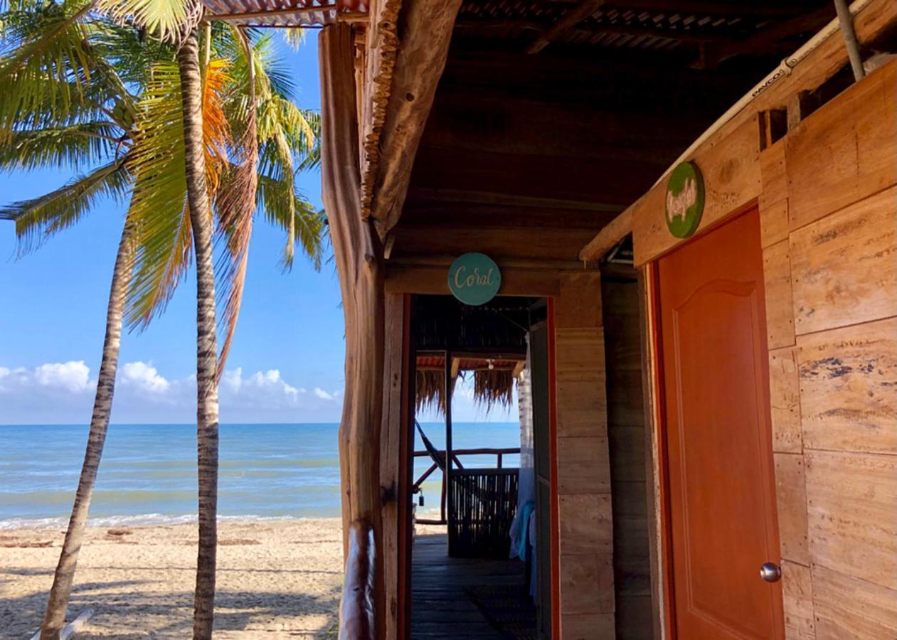Palmario Hostal Guachaca Buitenkant foto