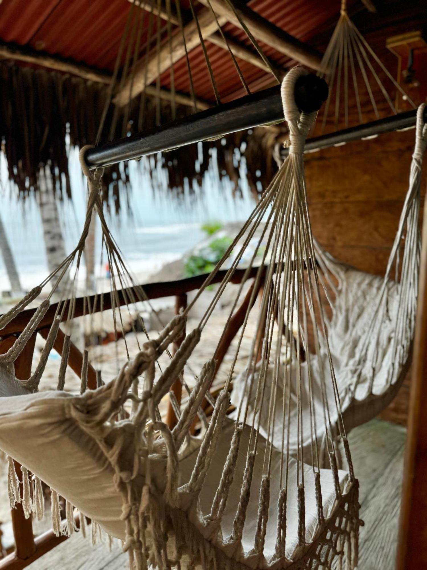 Palmario Hostal Guachaca Buitenkant foto